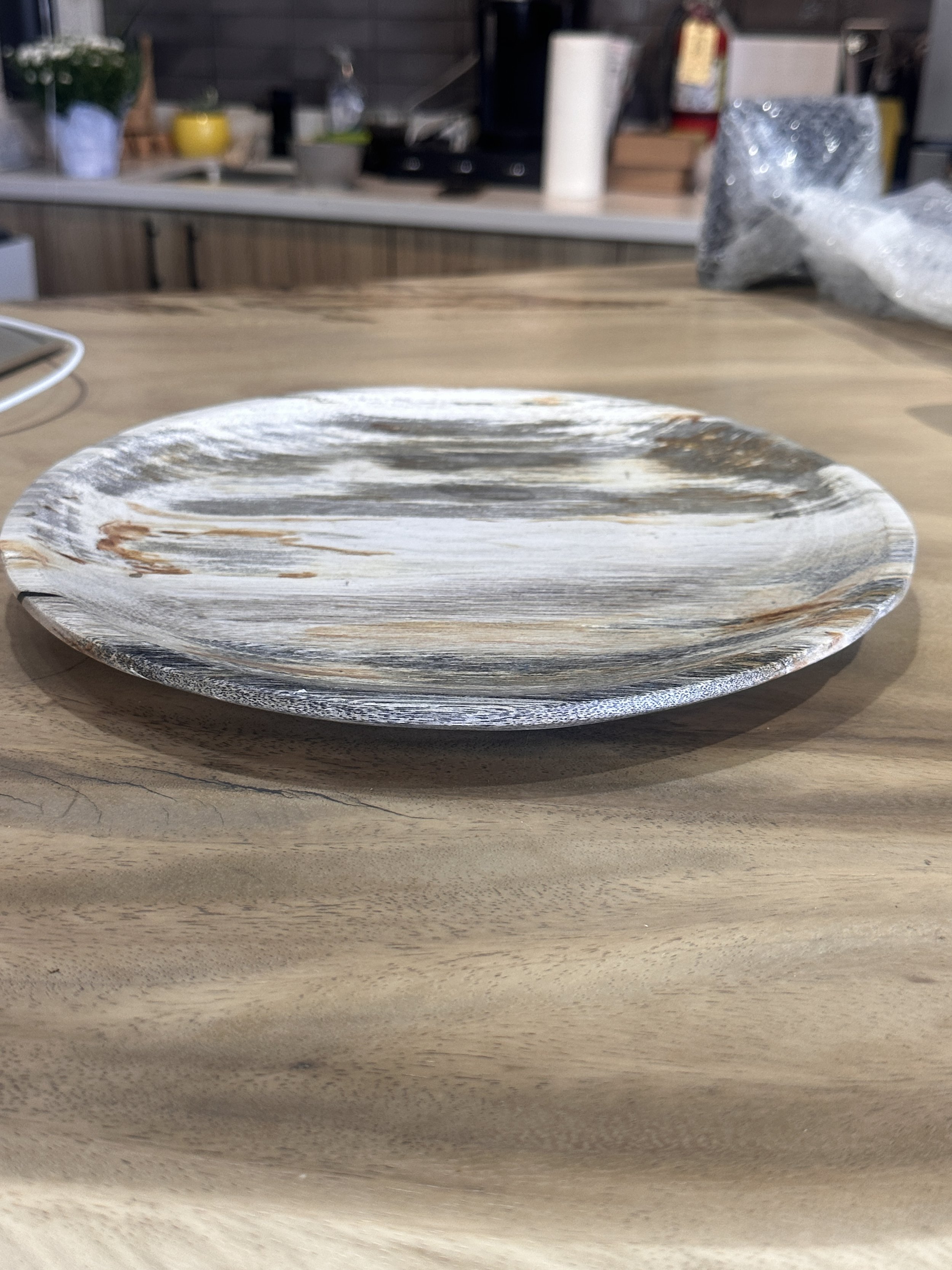 Petrified wood plate — INDIGENOUS by La Rue